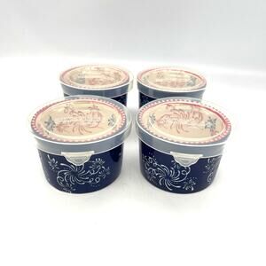 Temptations by Tara Floral Lace Fireworks Fetti Set of 4  Ramekins with Lids 5oz